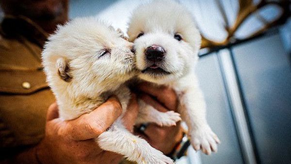 사진: 콜로설 바이오사이언스 제공