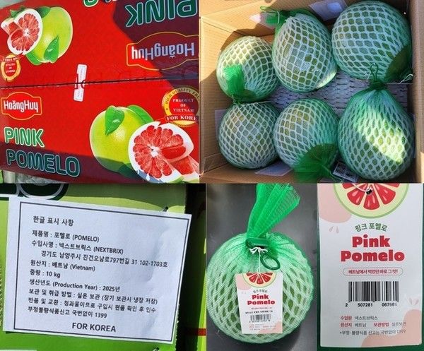 사진: 식품의약품안전처