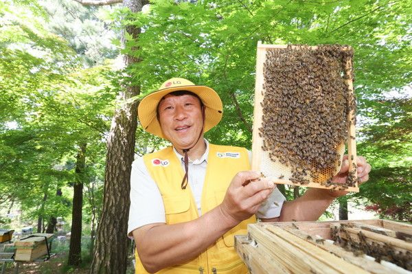 LG가&nbsp;조성한&nbsp;토종&nbsp;꿀벌&nbsp;서식지에서&nbsp;김대립&nbsp;명인이&nbsp;꿀벌통을&nbsp;들어&nbsp;보이고&nbsp;있다(사진=LG)