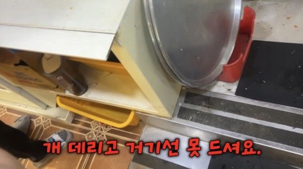 사진: 유튜브 캡처