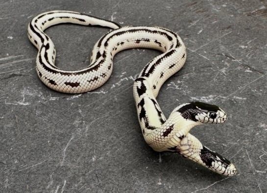 사진: 인스타그램