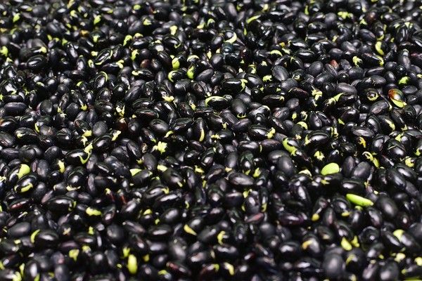 사진: 픽사베이