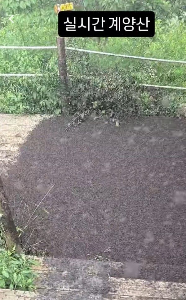 사진: 인스타그램