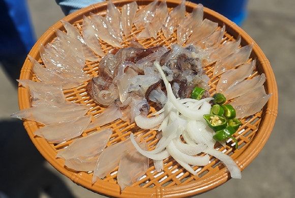 사진: 속초시청 홈페이지