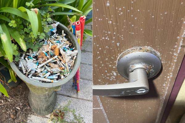 사진: 온라인커뮤니티