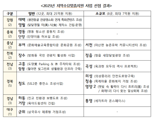 2025년 지역수요맞춤지원 사업 선정 결과(자료=국토교통부)