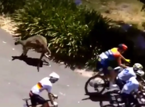 사진: 엑스 캡처