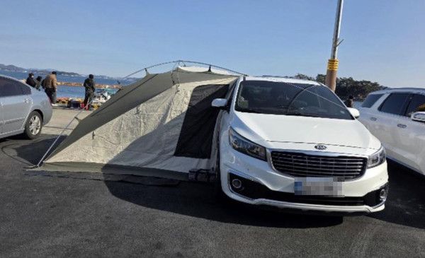 사진: 보배드림