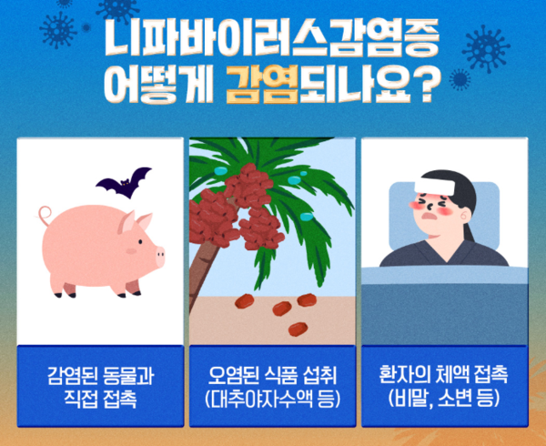 사진: 질병관리청