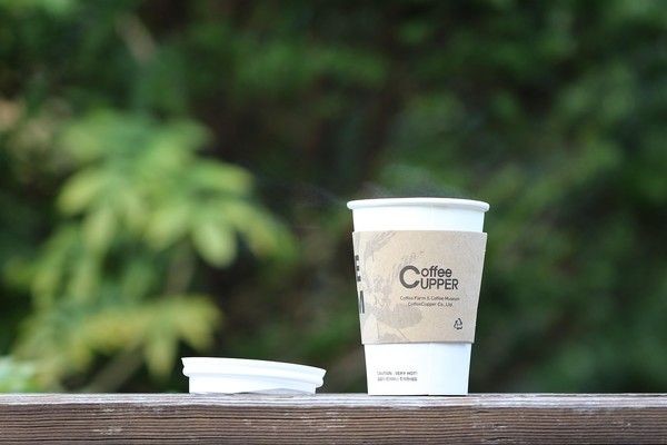 사진: 픽사베이