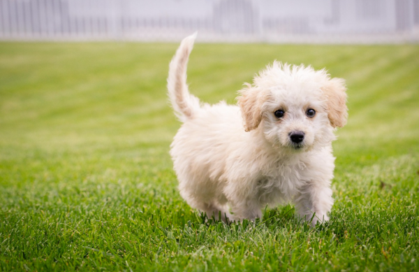 사진: 픽사베이