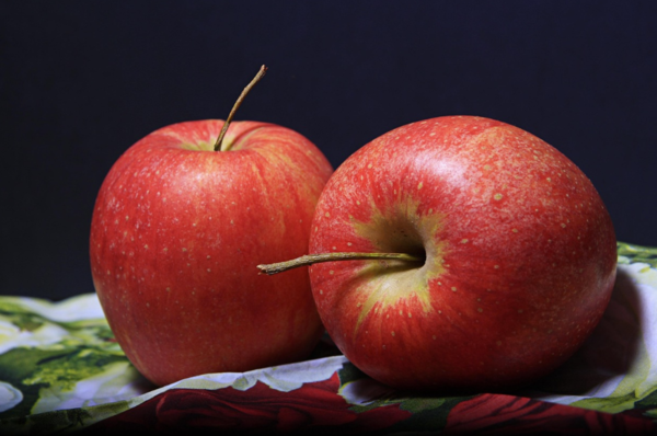 사진: 픽사베이