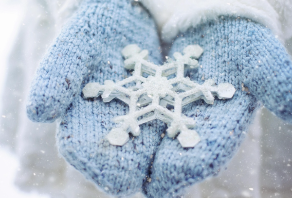 사진: 픽사베이