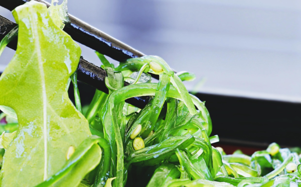 사진: 픽사베이