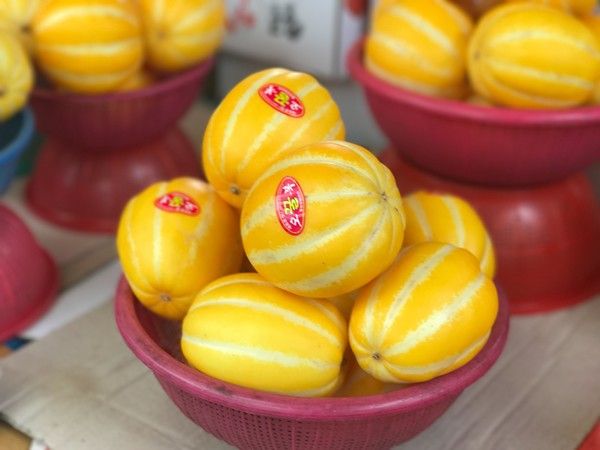 사진: 픽사베이