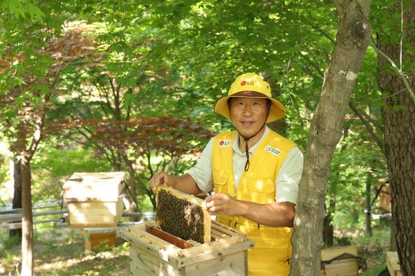 LG가&nbsp;조성한&nbsp;토종&nbsp;꿀벌&nbsp;서식지에서&nbsp;김대립&nbsp;명인이&nbsp;토종&nbsp;꿀벌의&nbsp;생육&nbsp;상태를&nbsp;점검하고&nbsp;있다(사진=(주)LG)