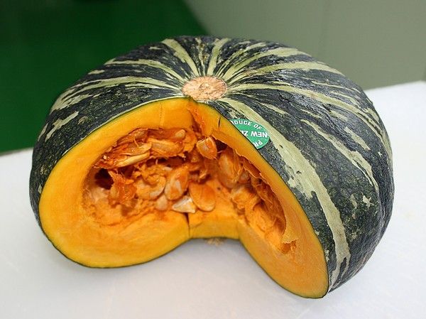 사진: 픽사베이