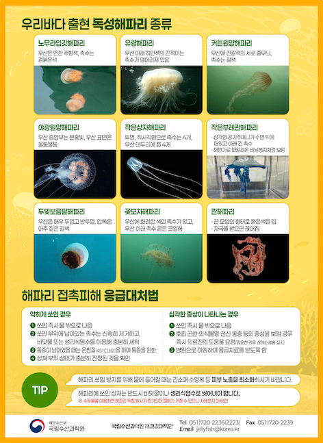 사진: 행정안전부