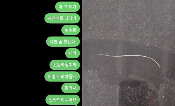 사진: 보배드림