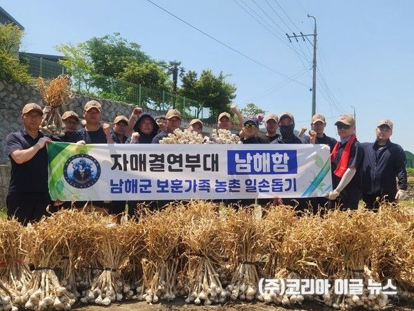24일 오전, 남해함 장병들이 경남 남해군 남해읍에 거주 중인&nbsp;베트남전 참전 유공자의 농가에서&nbsp;수확철이 한창인 마늘&nbsp;수확에 필요한&nbsp;일손을 돕고 있다. (사진 제공 = 정재웅 대위)