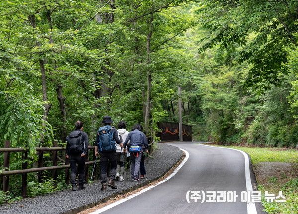 소백산등반 삼가 야영장 코스 (사진/제공=영주시)