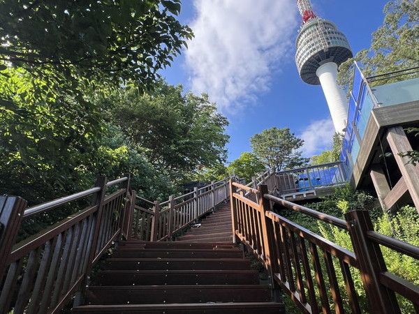 남산 북측숲길 전경