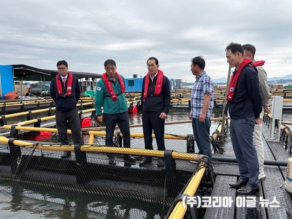 왼쪽에서 세번째/ 노동진 수협중앙회장이 적조 피해 현장을 찾아 후속 대책 논의를 하고 있다.&nbsp; (사진/제공=수협중앙회)