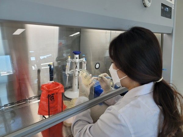 충남도 보건환경연구원 항생제 내성균 감염증 검사 모습 뉴시스