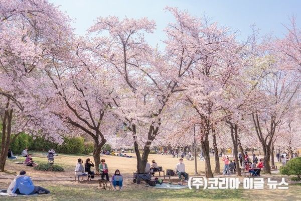 어린이대공원 봄 (사진=서울시)