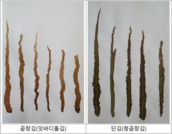 곱창김과 단김 비교. (사진=해양수산부)