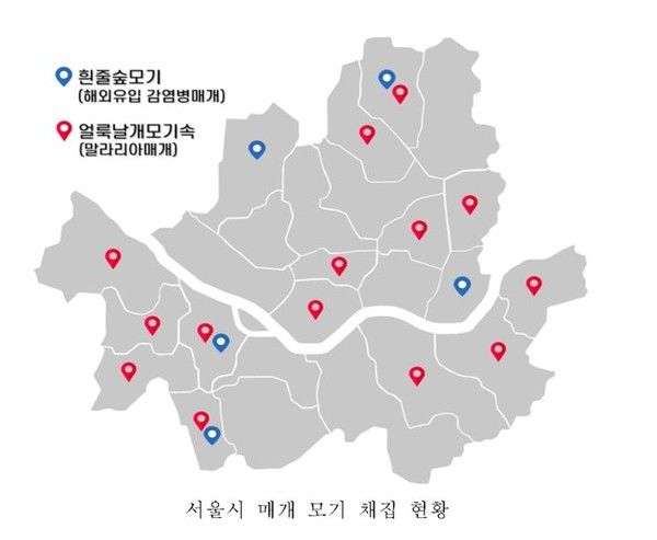 서울시 매개 모기 채집 현황. 뉴시스