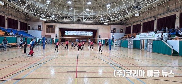 창원특례시, 제15회 한일 청소년 배구 교류전 성료&nbsp; (사진=창원특례시)