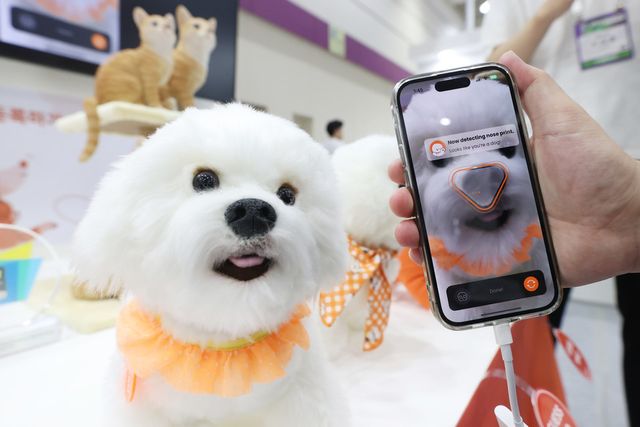 기획재정부는&nbsp;9일&nbsp;정부서울청사에서 비상경제장관회의 겸 수출투자대책회의를 진행했다고 밝혔다. 이 자리에서는 반려동물 연관산업에 대한 산업 육성 대책이 논의됐다. 사진은 펫박람회에 참여한 반려동물의 모습. [사진=연합뉴스]