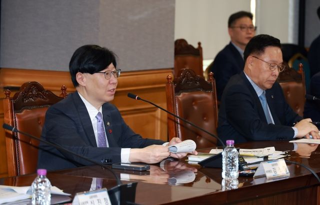 김소영 금융위원회 부위원장 제9차 정책금융지원협의회에서 발언을 하고 있다.(사진 제공 = 금융위원회)