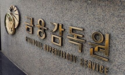 금융감독원, 서울경찰청, 건강보험공단이 공조해 피부미용 시술 후 치료행위로 가장한 보험사기를 최근 적발했다. (사진=금감원)