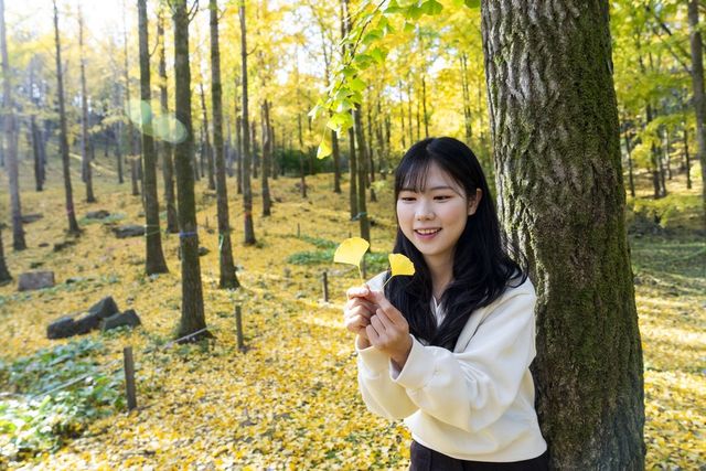 지난해 일반 공개 당시 황금빛으로 물든 에버랜드 은행나무숲에서 모델이 기념사진을 촬영하고 있다.&nbsp;(삼성물산 제공)