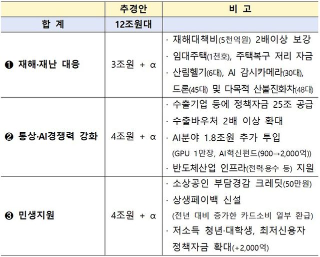 2025년 추경안 반영 내용.(자료제공=기획재정부)