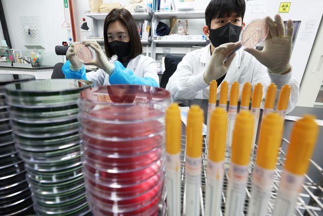 &nbsp;서울시가 여름철 폭염과 폭우로 인한 식중독 발생 위험이 높아지자 시민 안전을 위해 위생 점검을 진행했다.&nbsp; 사진은 경기도 수원시 권선구 경기도보건환경연구원에서 연구원들이 식중독균 배양분리작업을 시연한 모습. (사진=연합뉴스)