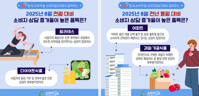 8월 소비자상담 빅데이터 분석. (한국소비자원 제공)