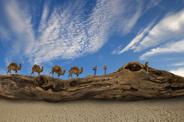 김훈 사진작가, 미국 뉴욕 갈라아트센터서 ‘우리는 어디로 가고 있는가’ 개인전