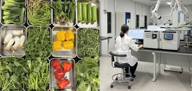 농산물 잔류농약 검사 현장 사진(왼쪽은 농산물 검사 식재료, 오른쪽은 잔류농약 기기분석 현장의 모습. 서울시 제공)