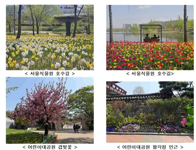 서울시 직영공원 봄맞이 사진. (서울시 제공)