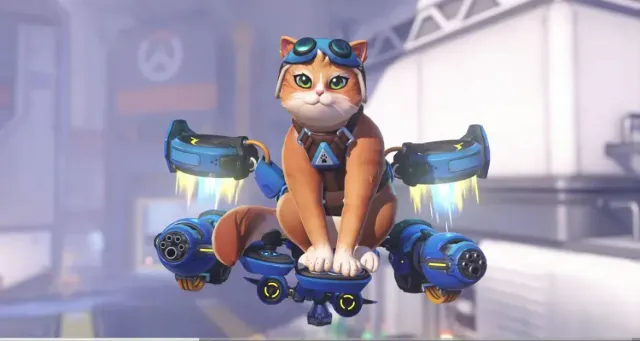 오버워치 제트팩 고양이 근황