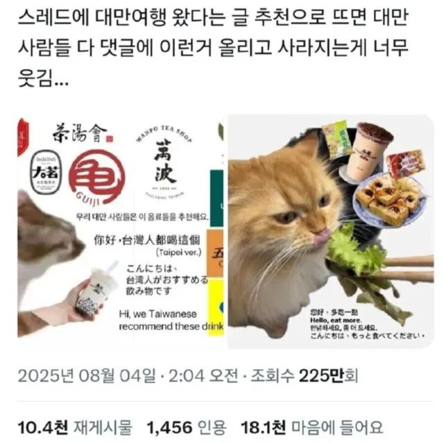대만 여행 한다고 하면 현지인들이 댓글 달아줌