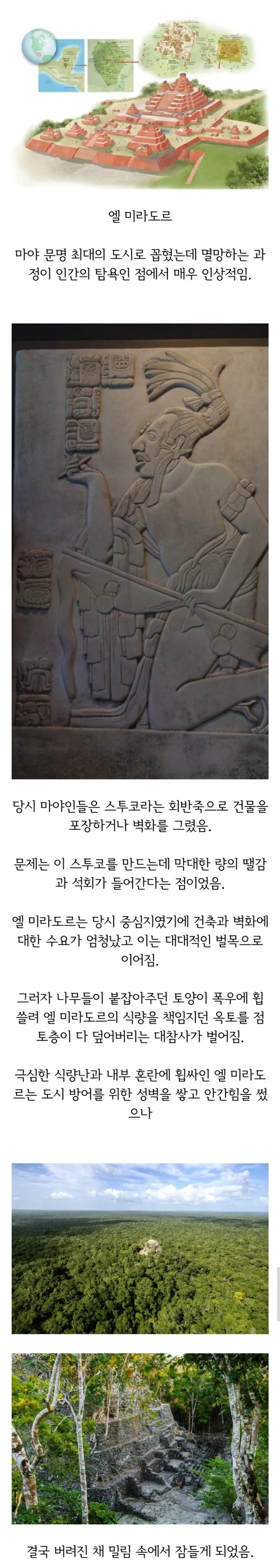 부동산 건축붐 때문에 멸망한 고대도시