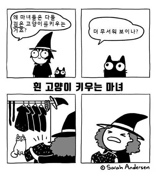 마녀들이 검은 고양이를 키우는 이유