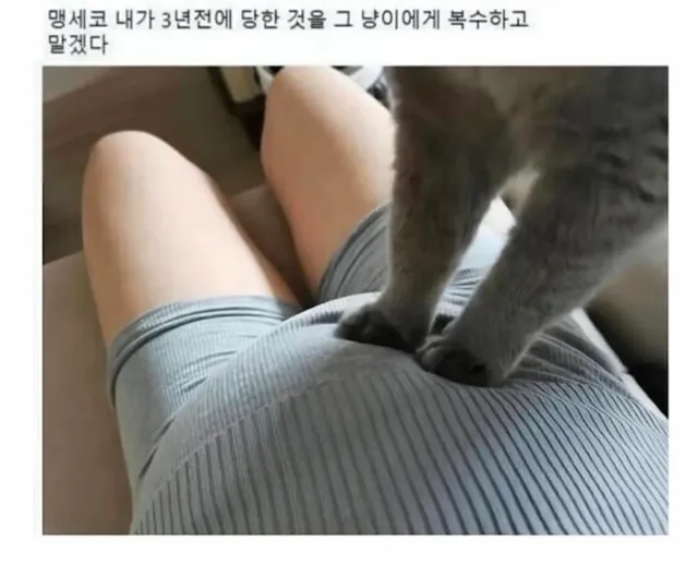 3년을 기다린 아기의 복수