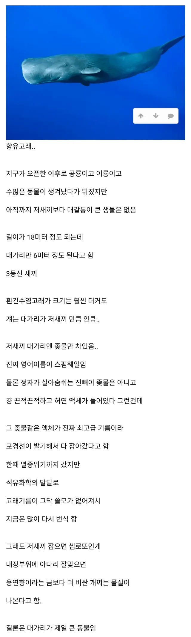 지구역사상 가장 대가리가 큰 동물