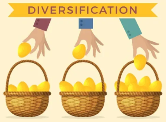 사람들이 분산 투자에 대해 오해하는 것