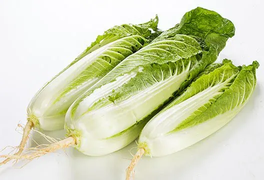 봄동 이름 논란이 생긴 아주 간단한 이유 